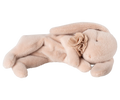 Maileg - Sleeping Bunny Plush, Small | Powder