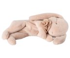 Maileg - Sleeping Bunny Plush, Small | Powder