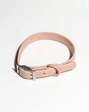 Load image into Gallery viewer, Wild One - Adjustable Waterproof Fashion Dog Collar: Cocoa / SMALL
