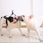 Lambwolf Collective - CACTUS // Enrichment Dog Toy