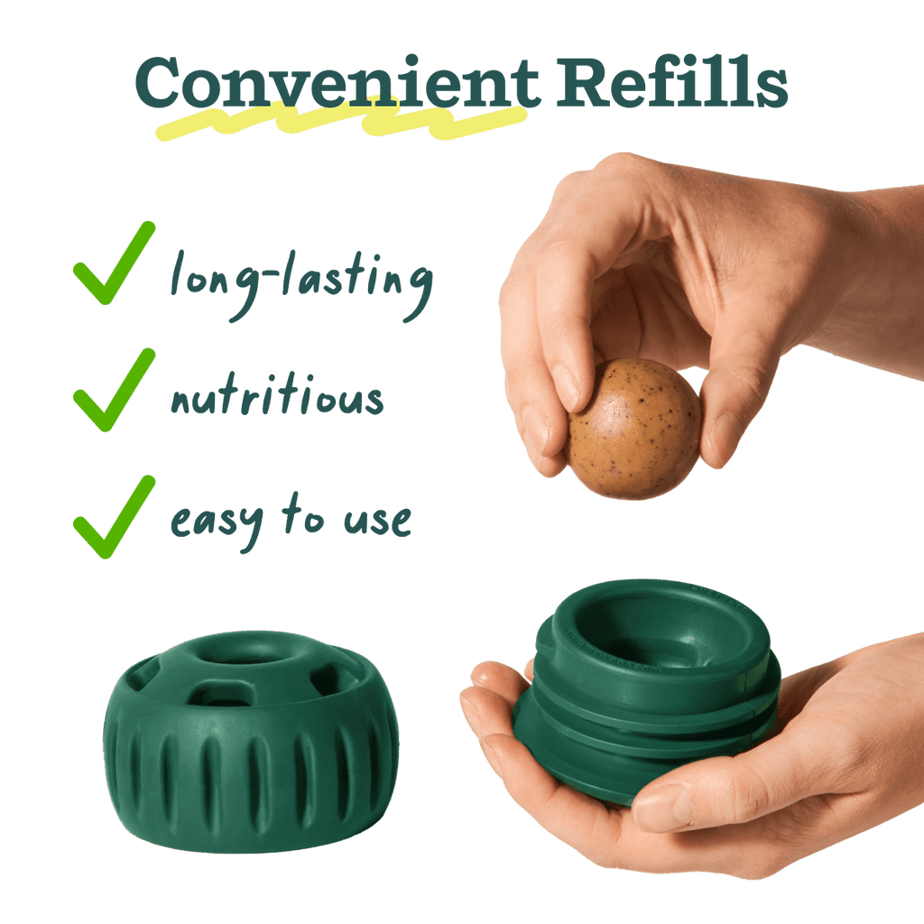 Woof - Birthday Pops: Extra Large