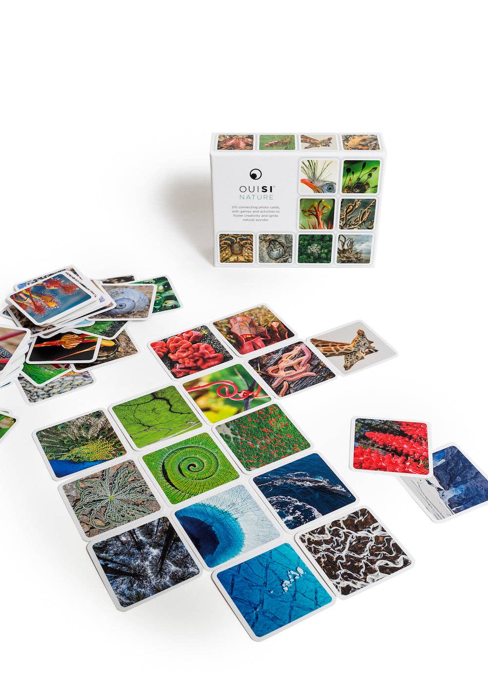 OuiSi Nature: Game of Visual Connection
