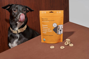 Wild One Organic Vegan Baked Dog Treats - Pumpkin Spice