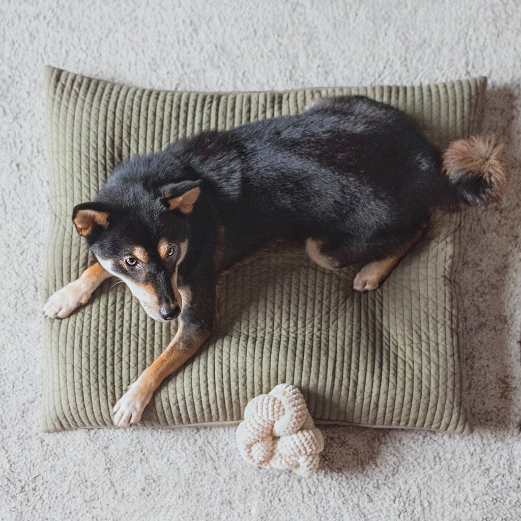 Lambwolf Collective - NOU | with Crinkle Clusters // Enrichment Dog Toy - Taupe