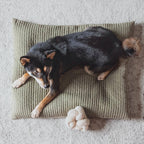 Lambwolf Collective - NOU | with Crinkle Clusters // Enrichment Dog Toy - Cream