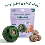 Woof - Calming Wellness Pops: Large
