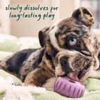 Woof - Calming Wellness Pops: Extra Large