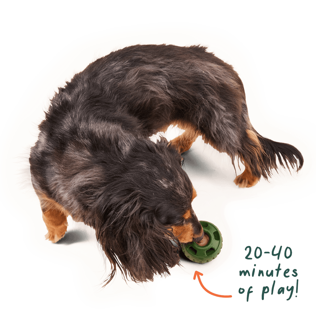 Woof - Pupsicle Pops: Chicken / Large