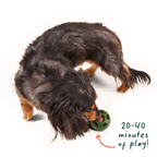 Woof - Pupsicle Pops: Chicken / Extra Large