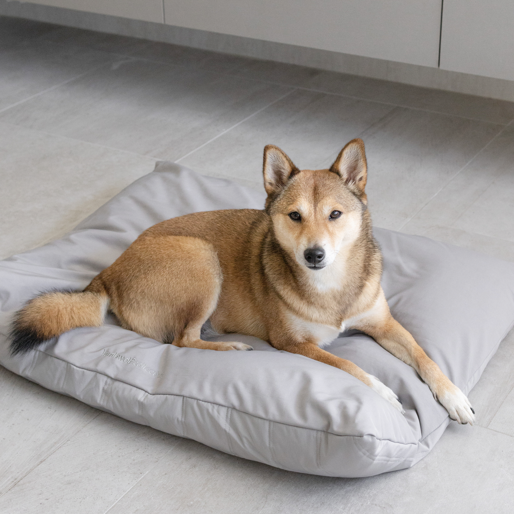 Lambwolf Collective - MAATIN // Dog Bed - Medium | Koala