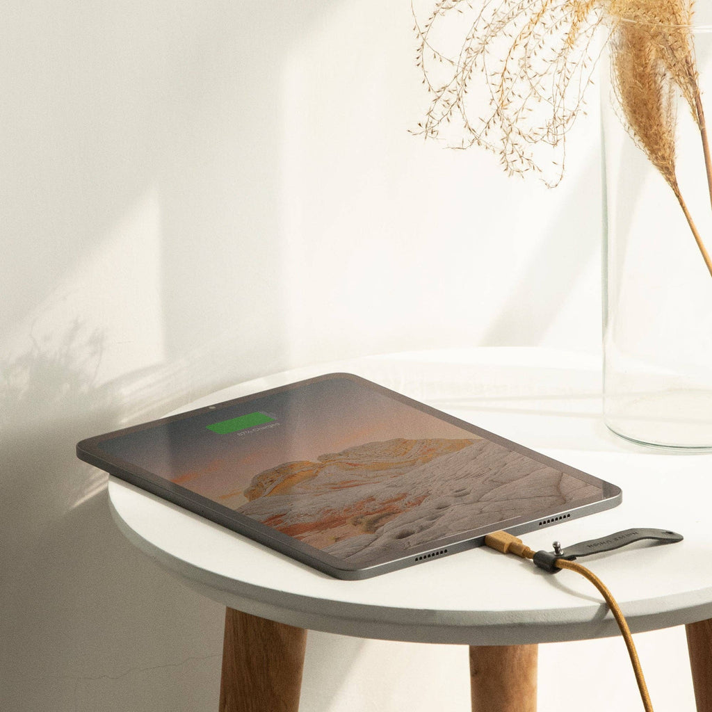 Native Union Paris - Belt Cable (USB-C to USB-C): Slate Green