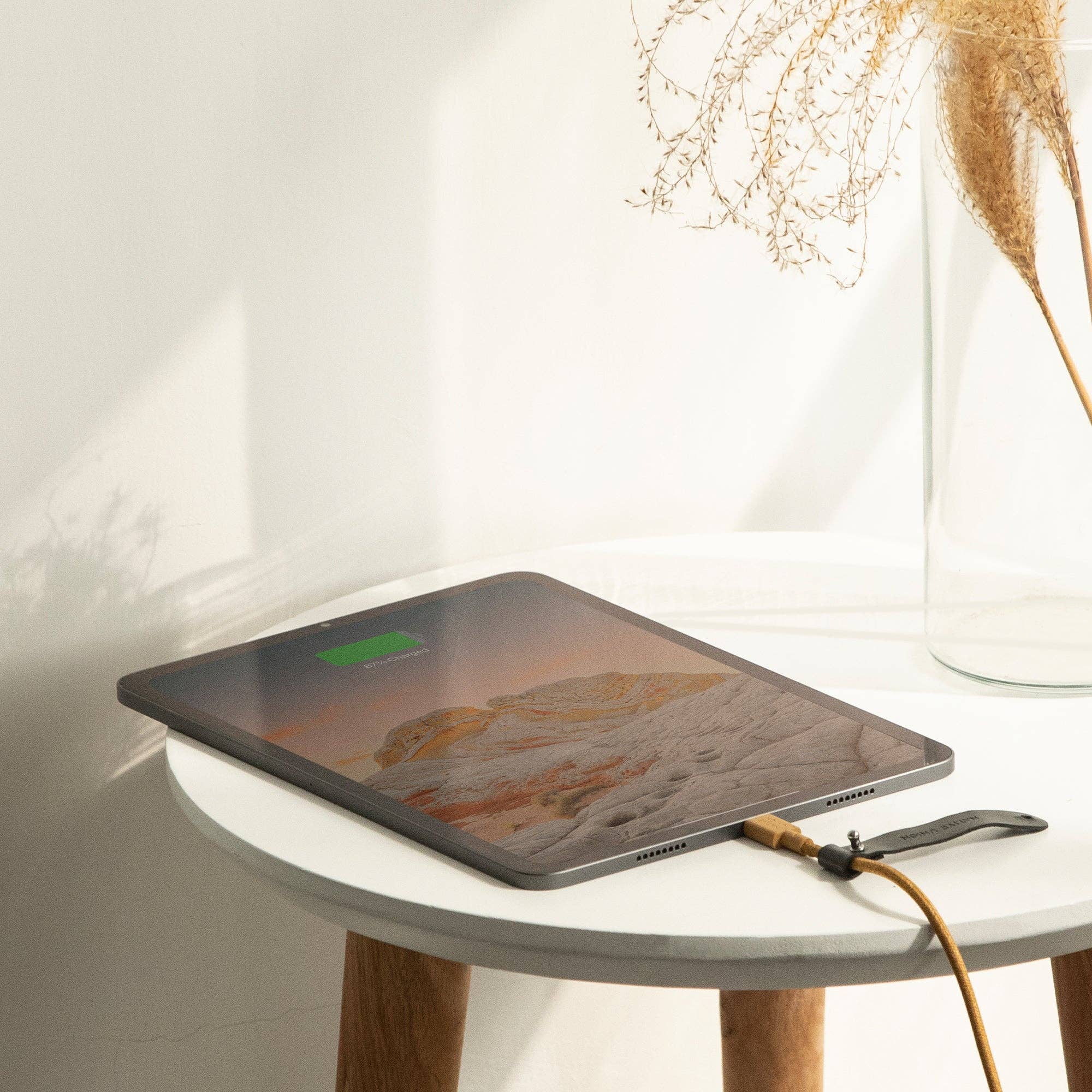 Native Union Paris - Belt Cable (USB-C to USB-C): Slate Green