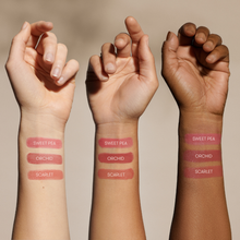Load image into Gallery viewer, Minori - Cream Blush - Sweet Pea (New Shade!)
