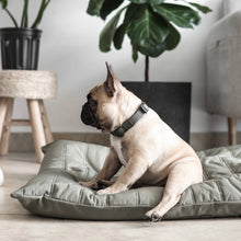 Load image into Gallery viewer, Lambwolf Collective - MAATIN // Dog Bed - Small | Plum
