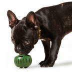 Woof - The Pupsicle - Moss Green: X-Large