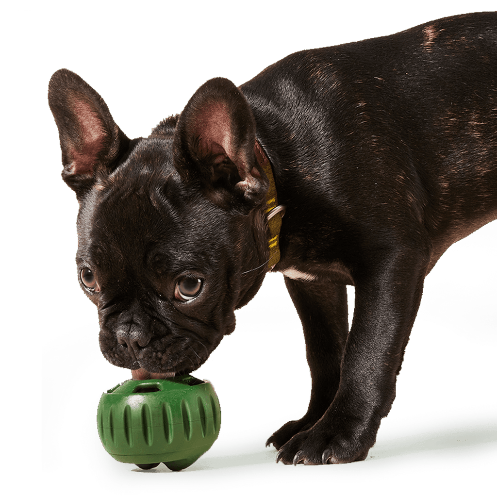 Woof - The Pupsicle - Moss Green: Small