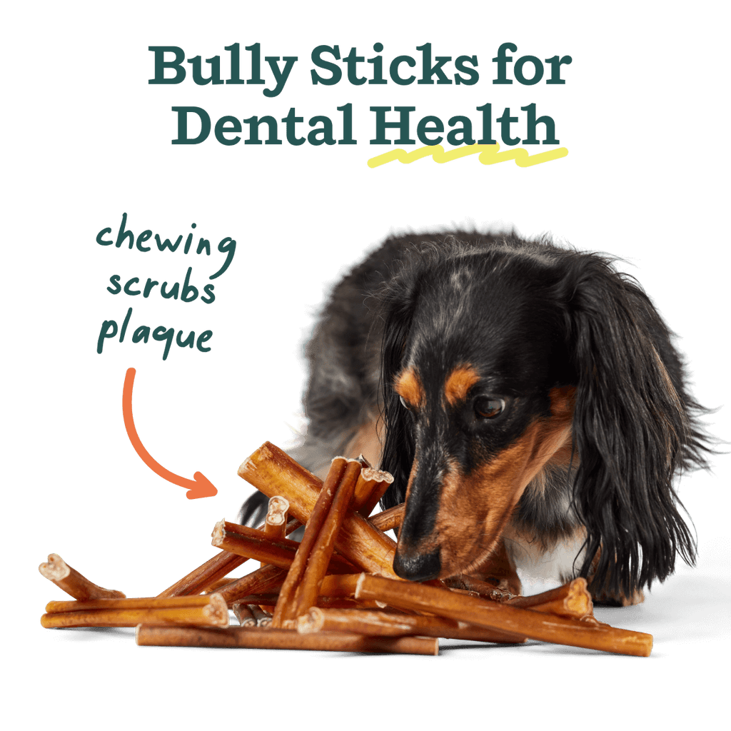 Woof - BullySafe Chews - BullySticks: Beef / 12-inch 5 pack