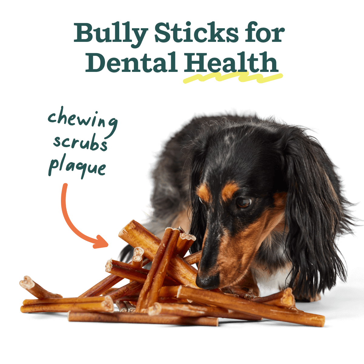 Woof - BullySafe Chews - BullySticks: Beef / 12-inch 5 pack