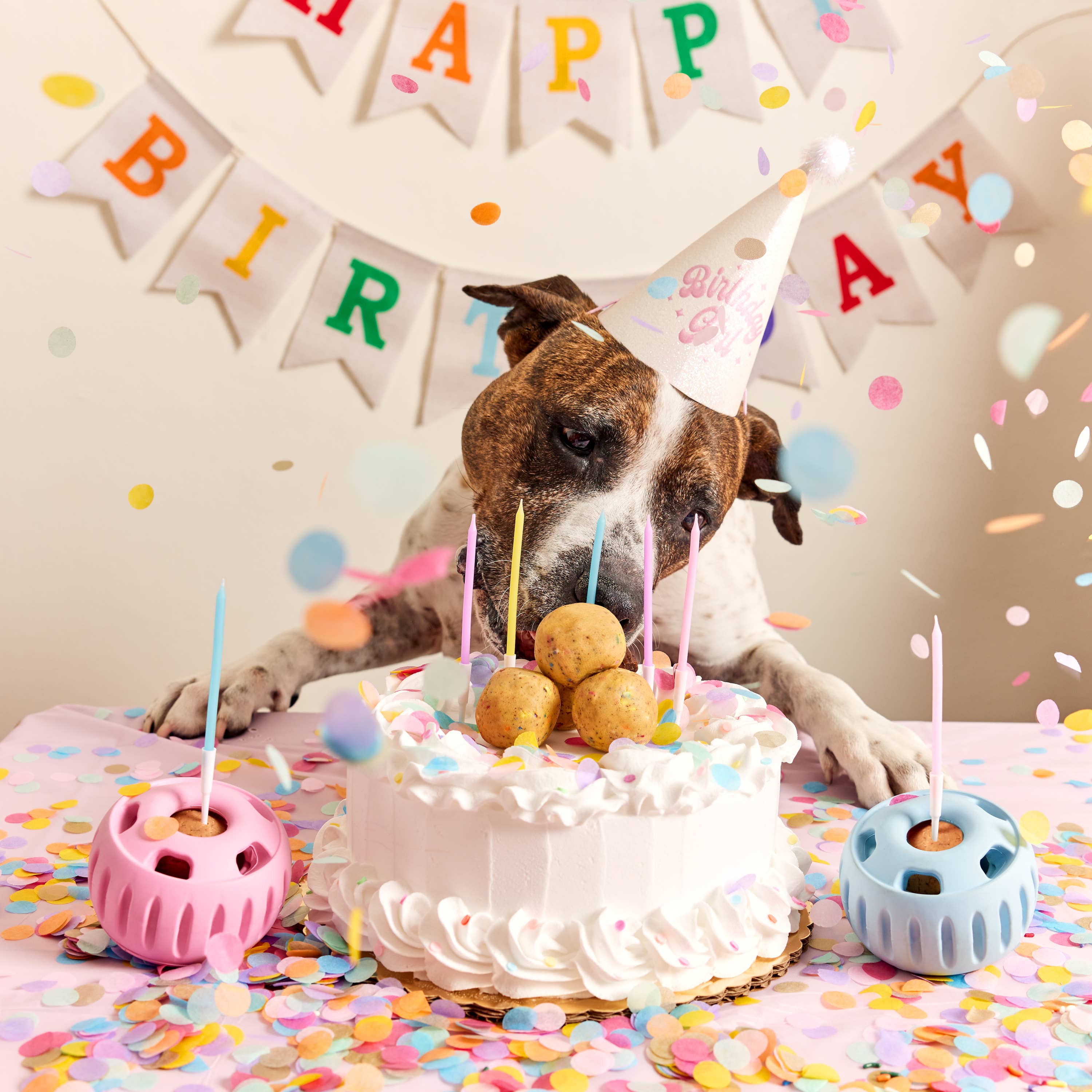 Woof - Party Pupsicle: Pink / Small