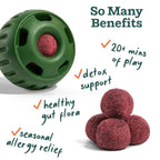 Woof - Allergy & Immunity Wellness Pops: Extra Large
