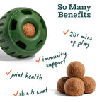 Woof - All-in-1 Wellness Pops: Large