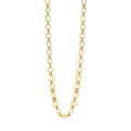 Capucine De Wulf Cleopatra 32" Small Link Necklace - Gold
