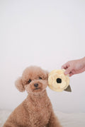 Lambwolf Collective -  Poppy // Enrichment Dog Toy - Small