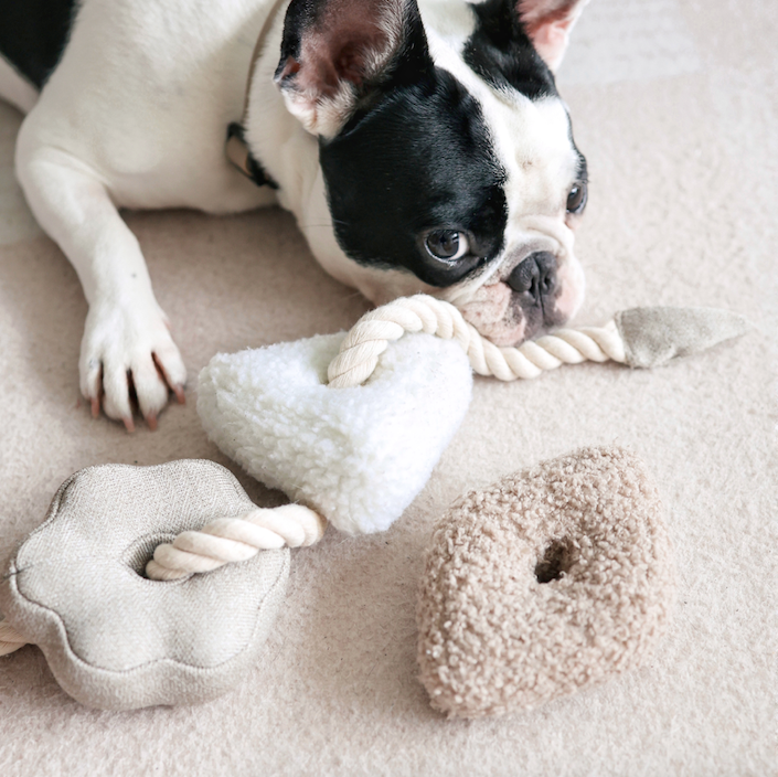 Lambwolf Collective - BLOCS // Enrichment Dog Toy - Nude
