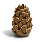 Loblola - Loblolly Pinecone Puzzle Toy