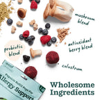 Woof - Allergy & Immunity Wellness Pops: Large