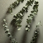 REFILLABLE Eucalyptus Nourishing Pocket Sanitizer