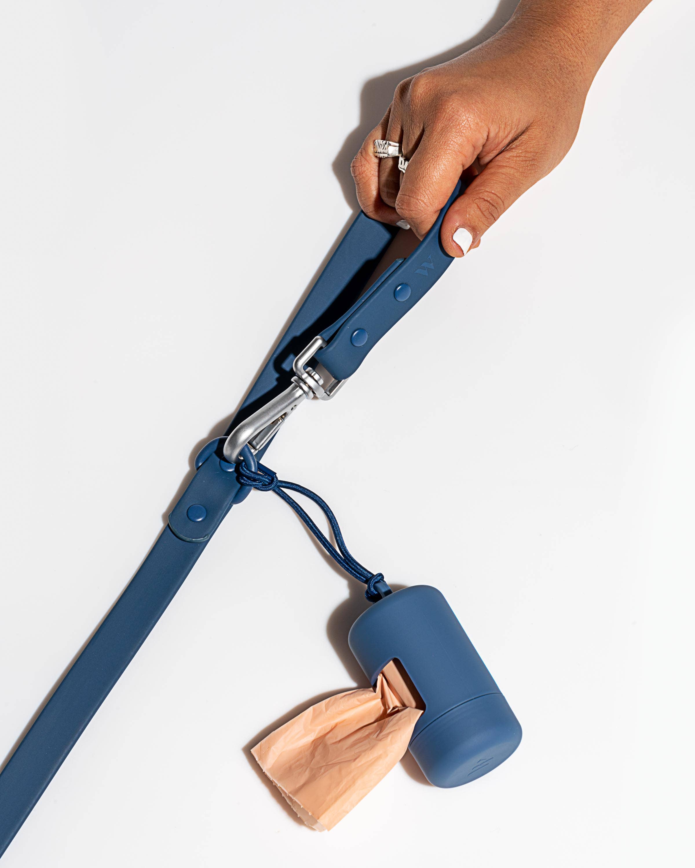 Wild One - Poop Bag Carrier Dispenser for Pets & Dogs: Spruce