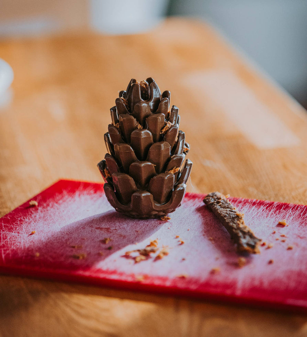 Loblola - Loblolly Pinecone Puzzle Toy
