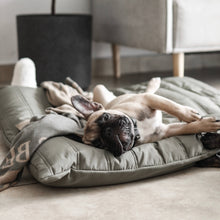 Load image into Gallery viewer, Lambwolf Collective - MAATIN // Dog Bed - Small | Plum
