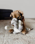 Lambwolf Collective - NOU | with Crinkle Clusters // Enrichment Dog Toy - Cream