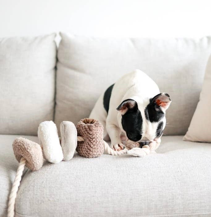 Lambwolf Collective - BLOCS // Enrichment Dog Toy - Nude