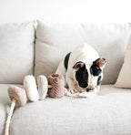 Lambwolf Collective - BLOCS // Enrichment Dog Toy - Nude