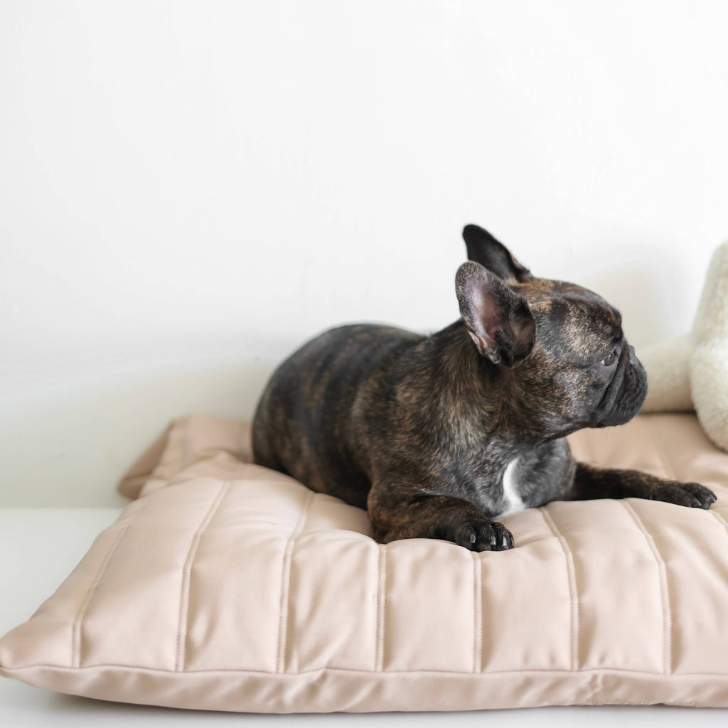 Lambwolf Collective - MAATIN // Dog Bed - Small | Camel