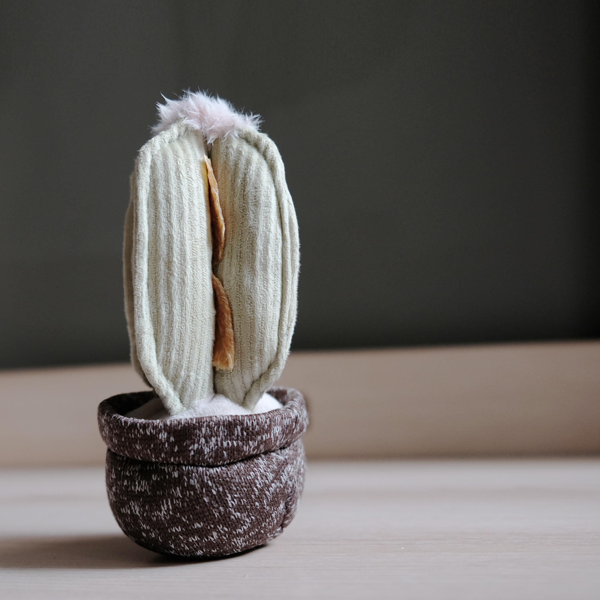 Lambwolf Collective - CACTUS // Enrichment Dog Toy