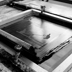 HAM - Swing Rabbit Print