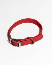 Load image into Gallery viewer, Wild One - Adjustable Waterproof Fashion Dog Collar: Cocoa / SMALL
