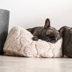 Lambwolf Collective - TAART // Dog Bed - Camel
