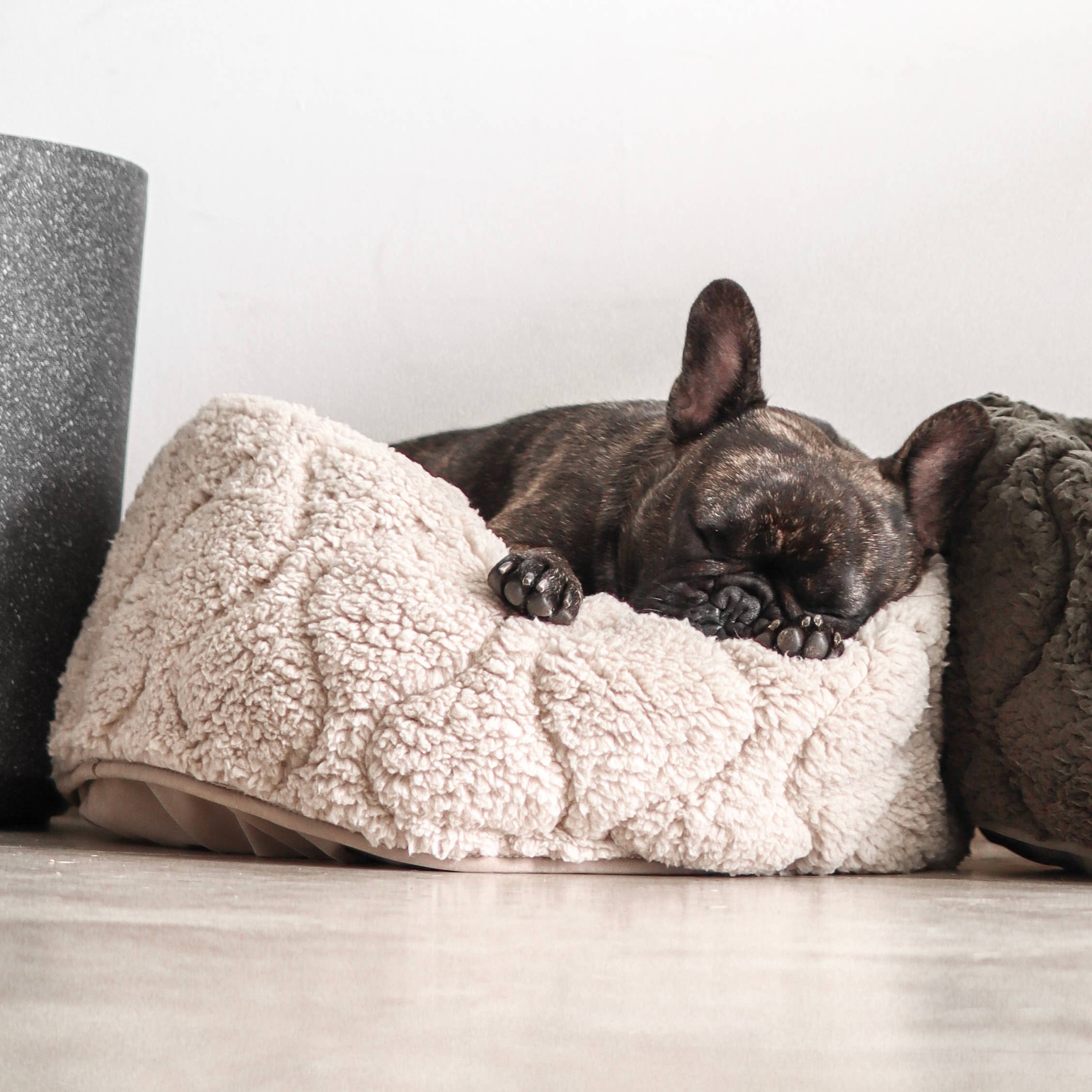 Lambwolf Collective - TAART // Dog Bed - Camel