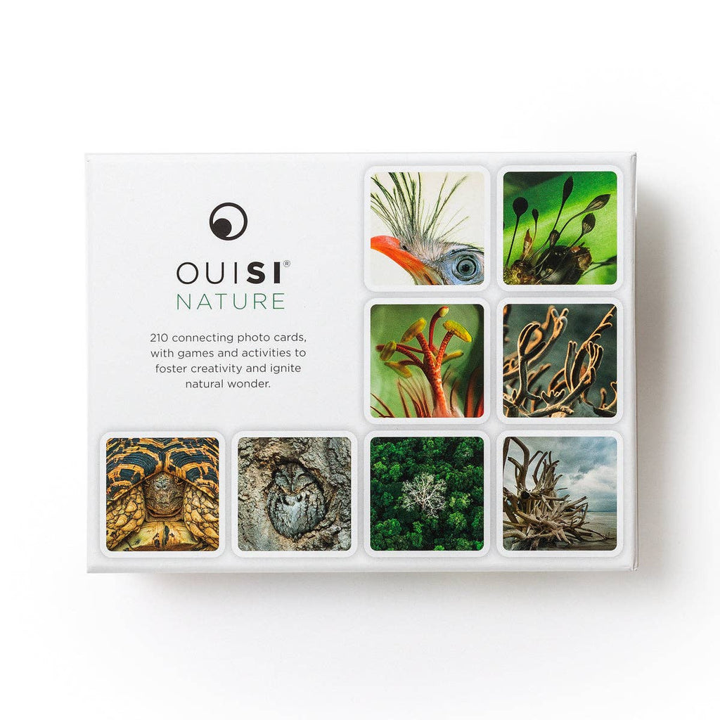 OuiSi Nature: Game of Visual Connection