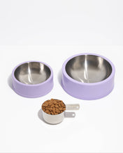 Load image into Gallery viewer, Wild One - Non-Skid Stainless Steel Pet Bowl: SMALL | Spruce
