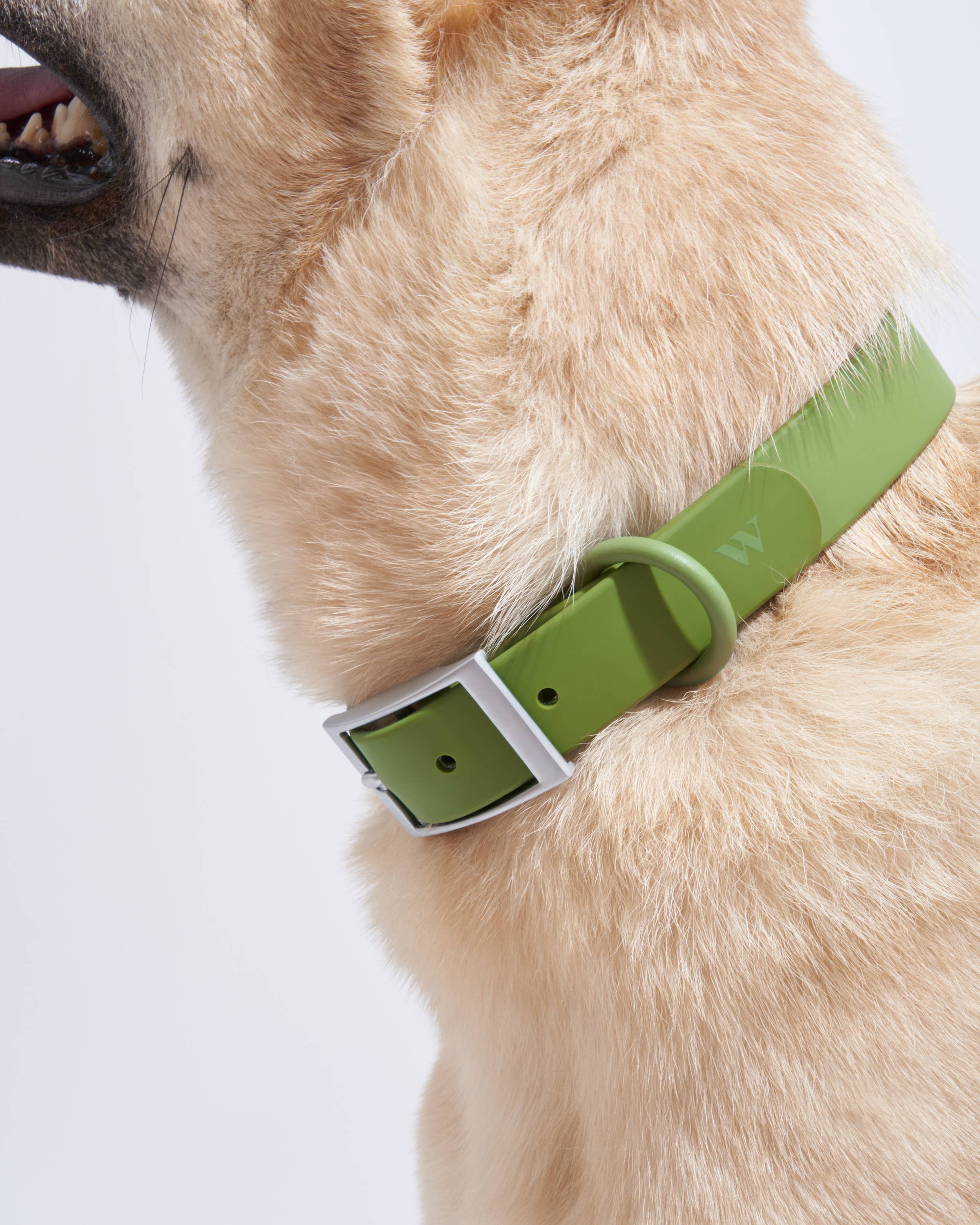 Wild One - Adjustable Waterproof Fashion Dog Collar: Cocoa / SMALL