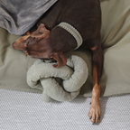 Lambwolf Collective - O NOU | Oversized // Enrichment Dog Toy - Sage