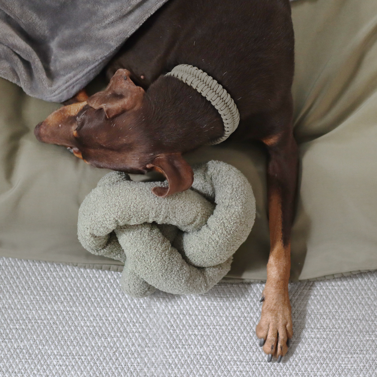 Lambwolf Collective - O NOU |  Oversized // Enrichment Dog Toy - Mauve