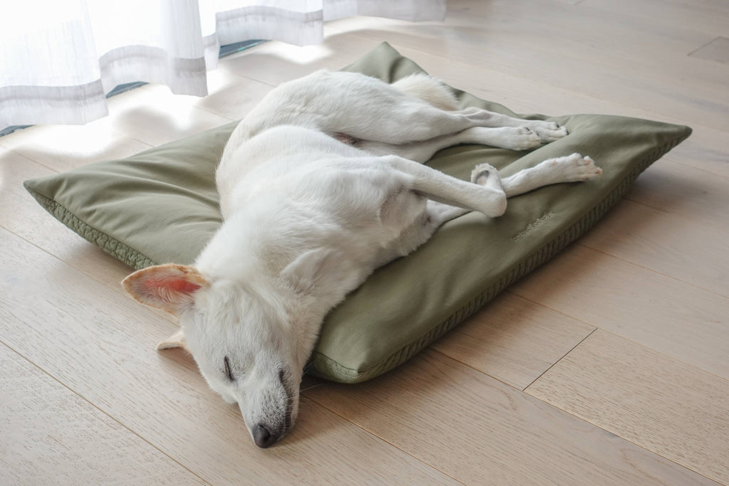 Lambwolf Collective - MAATIN // Dog Bed - Small | Fern