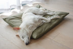 Lambwolf Collective - MAATIN // Dog Bed - Small | Fern